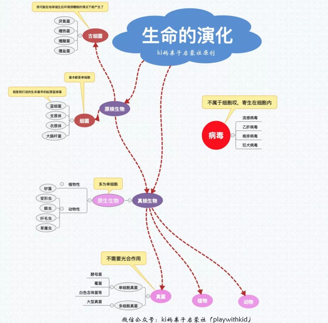 生命起源的过程示意图图片